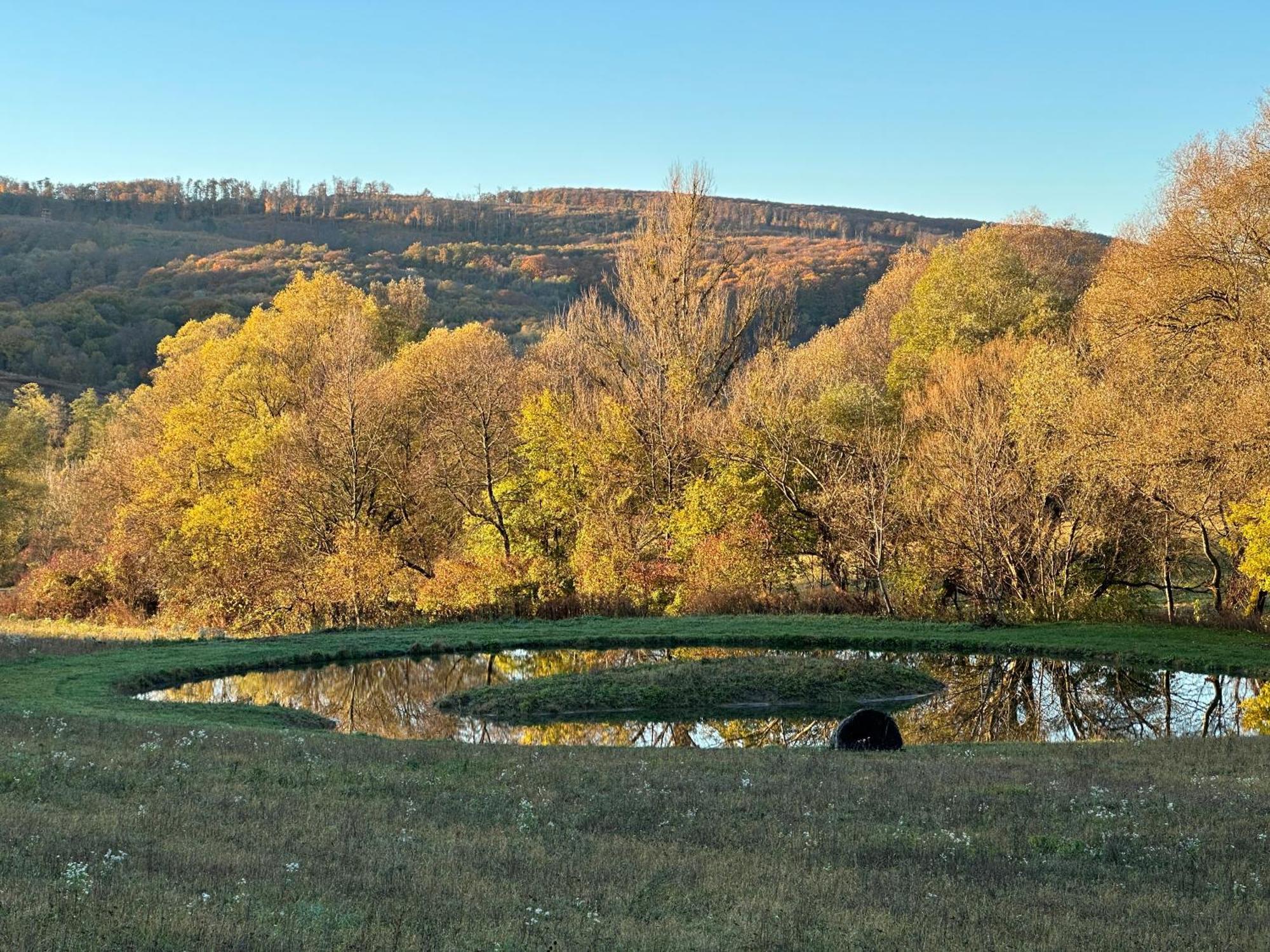Kingsdale Farm Guest House Jásd Dış mekan fotoğraf
